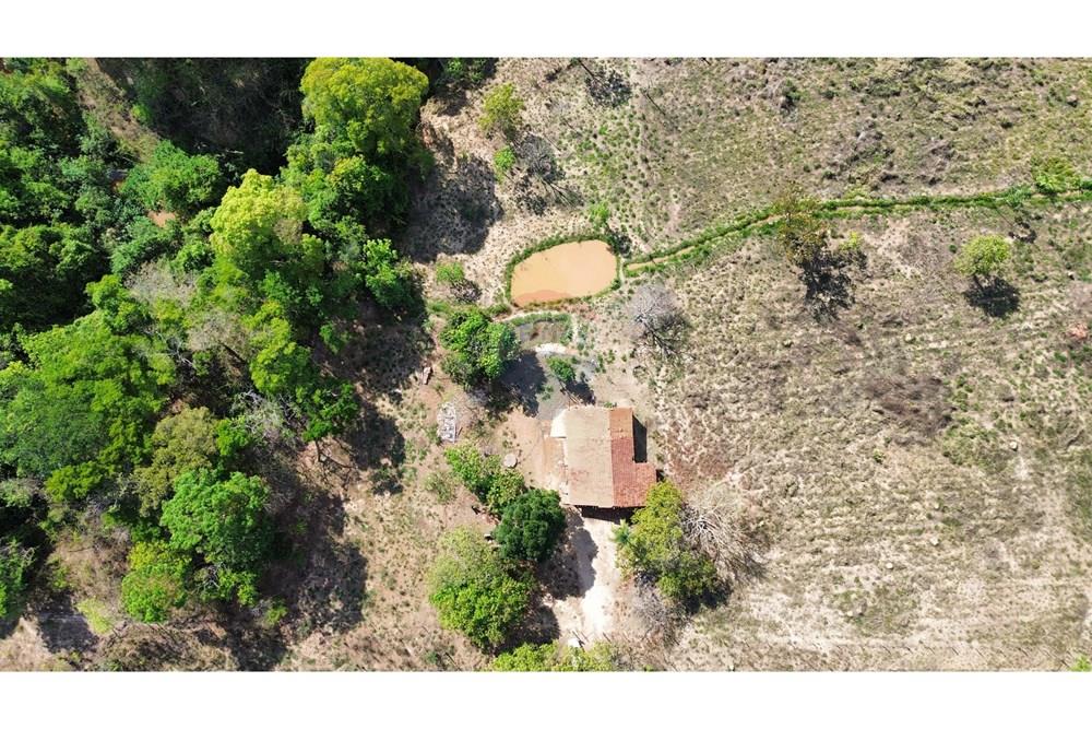 Chácara / Sítio / Fazenda - Venda - Caldas Novas , Goiás - IMG_6979.JPG - 722251025-1