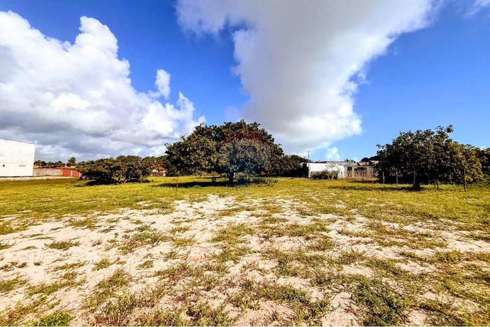 Terreno - Venda - São Miguel do Gostoso , Rio Grande do Norte - WhatsApp Image 2025-06-28 at 09.40.48 (7).jpeg - 720891024-210