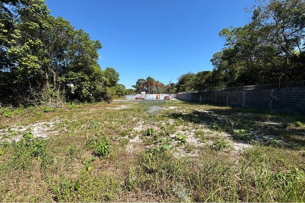 Terreno - Venda - Manaus , Amazonas - WhatsApp Image 2025-08-01 at 09.08.23.jpeg - 720791062-49