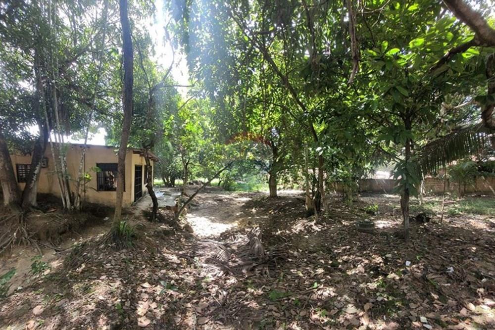 Terreno - Venda - Manaus , Amazonas - 5148091669961354671.jpg - 722101020-31