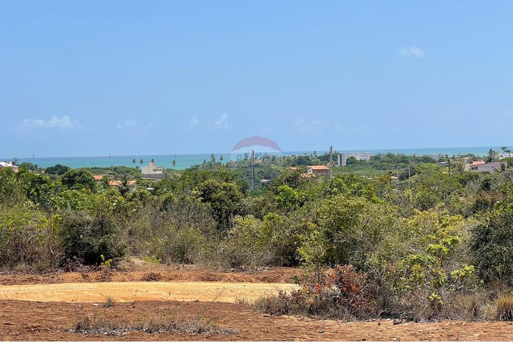 Terreno - Venda - Conde , Paraíba - WhatsApp Image 2025-01-02 at 15.58.06.jpeg - 720871004-174