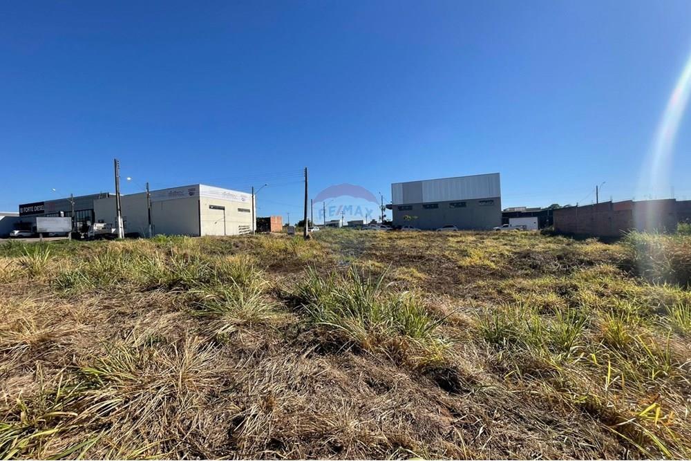 Terreno - Venda - Cacoal , Rondônia - WhatsApp Image 2025-07-14 at 12.01.15 (1).jpeg - 722311012-3