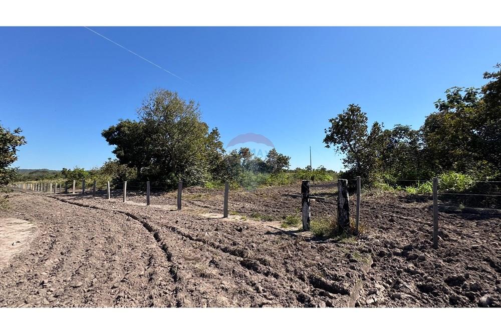 Fazenda - Venda - Santo Antônio do Leverger , Mato Grosso - 3815b290-904f-4ea9-b316-98789016d49d.jpeg - 720611035-41
