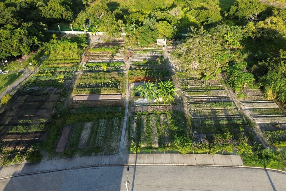 Casa de Condomínio - Venda - Aquiraz , Ceará - DJI_0976.JPG - 720321178-11