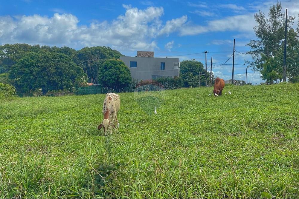 Terreno - Venda - Conde , Paraíba - WhatsApp Image 2024-07-24 at 14.36.27 (4).jpeg - 720871004-166