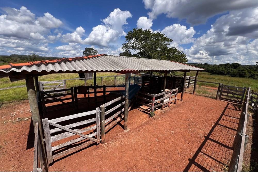Agro - Venda - Babaçulândia , Tocantins - WhatsApp Image 2025-06-07 at 21.46.56.jpeg - 720991010-71