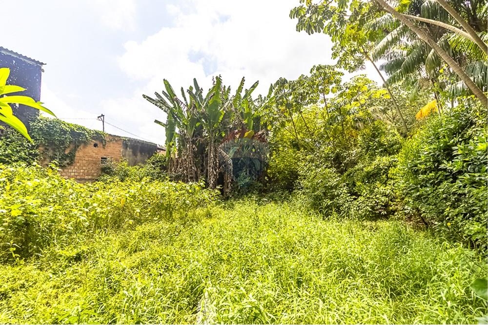 Terreno - Venda - Ananindeua , Pará - 19.jpg - 720921053-12