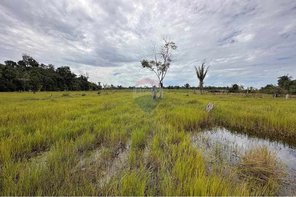 Fazenda - Venda - Itapuã do Oeste , Rondônia - IMG_0353.JPG - 721551004-289