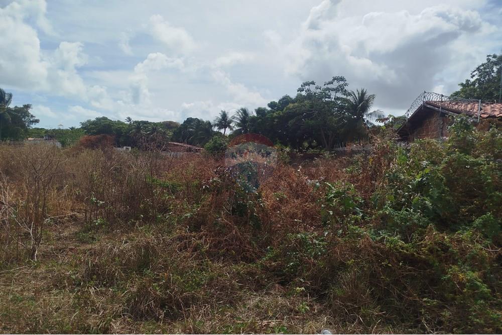 Terreno - Venda - Nísia Floresta , Rio Grande do Norte - WhatsApp Image 2024-11-22 at 21.32.42 (3).jpeg - 720891013-74