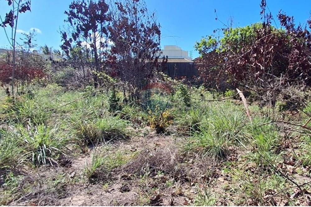 Terreno - Venda - Conde , Paraíba - 56191291-26b8-4e40-9078-e0c0b4c84f9d.jpeg - 720871044-68