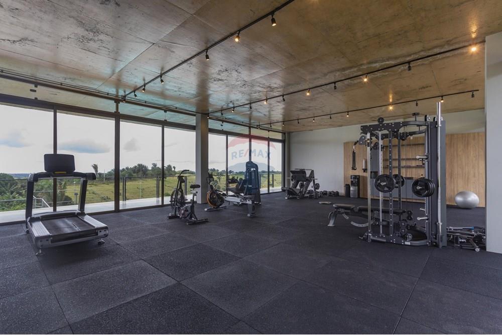 Terreno - Venda - Bananeiras , Paraíba - IMG-20250324-WA0022.jpg - 722001097-4