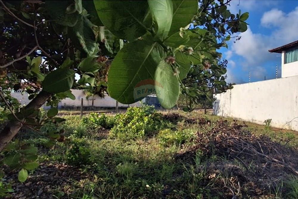 Terreno - Venda - Conde , Paraíba - 602edca0-b21f-448e-b1c0-4e5c0bea177a.jpeg - 720871044-98