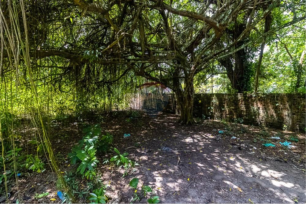 Terreno - Venda - Ananindeua , Pará - 21.jpg - 720921053-12