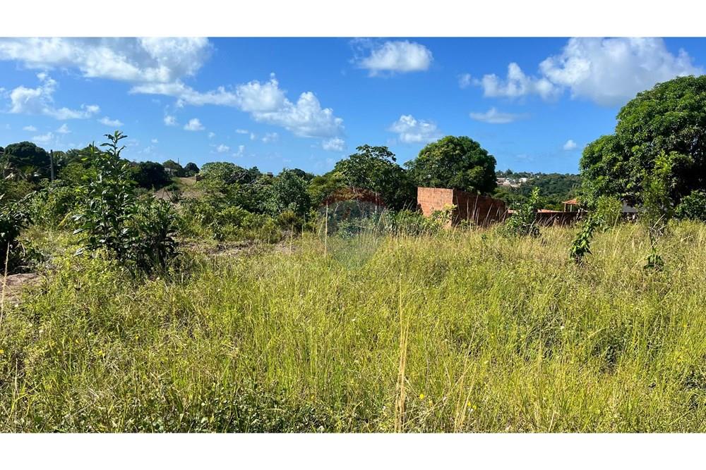 Terreno - Venda - Conde , Paraíba - WhatsApp Image 2025-05-12 at 10.40.39 (2).jpeg - 720871004-197