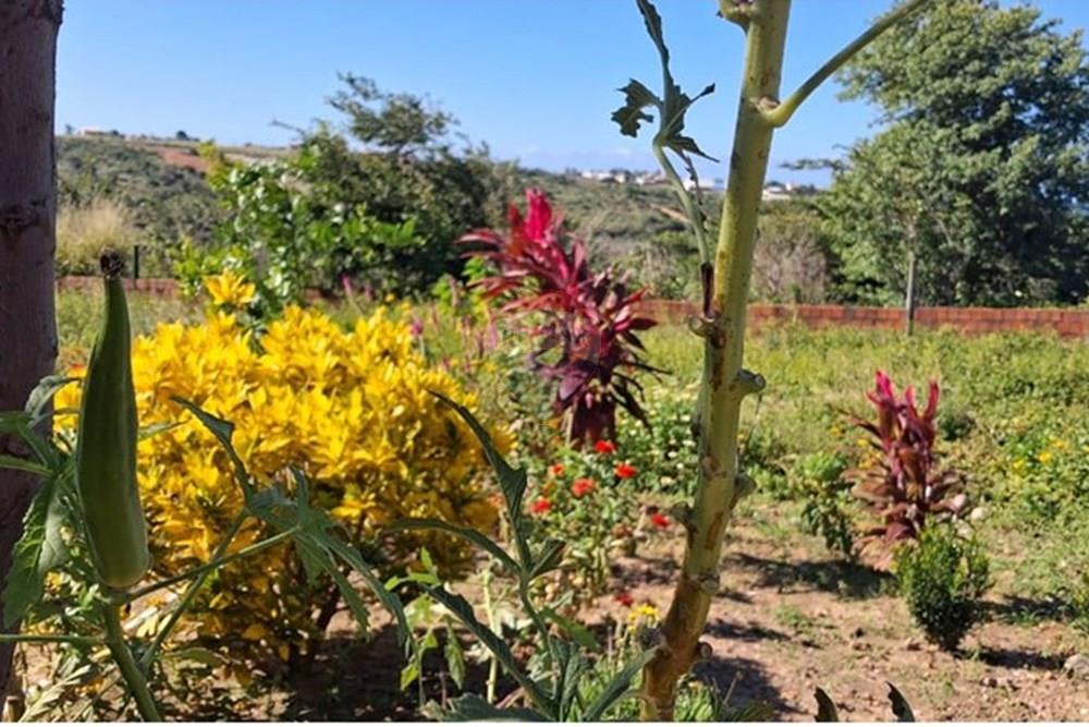 Casa - Venda - Pitimbu , Paraíba - 936f0966-98b7-4666-b078-fc87be77c25a.jpeg - 720871044-84