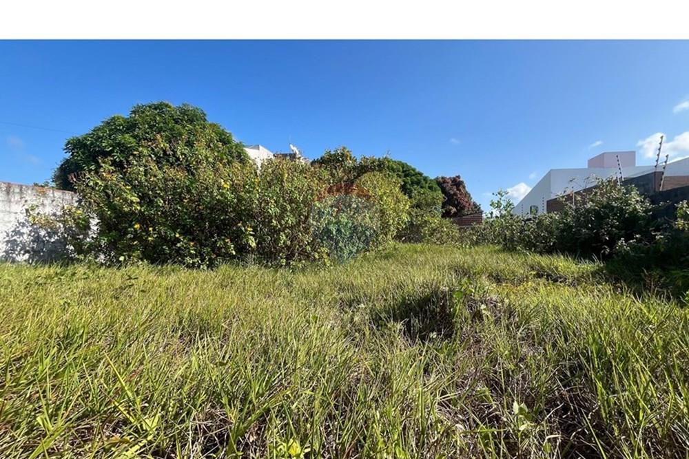 Terreno - Venda - Conde , Paraíba - WhatsApp Image 2025-10-16 at 14.18.36.jpeg - 720871004-214