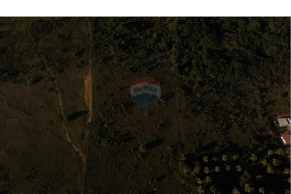 Terreno - Venda - Tibau do Sul , Rio Grande do Norte - AereaTerrenoVegetacao01.jpeg - 720891150-73