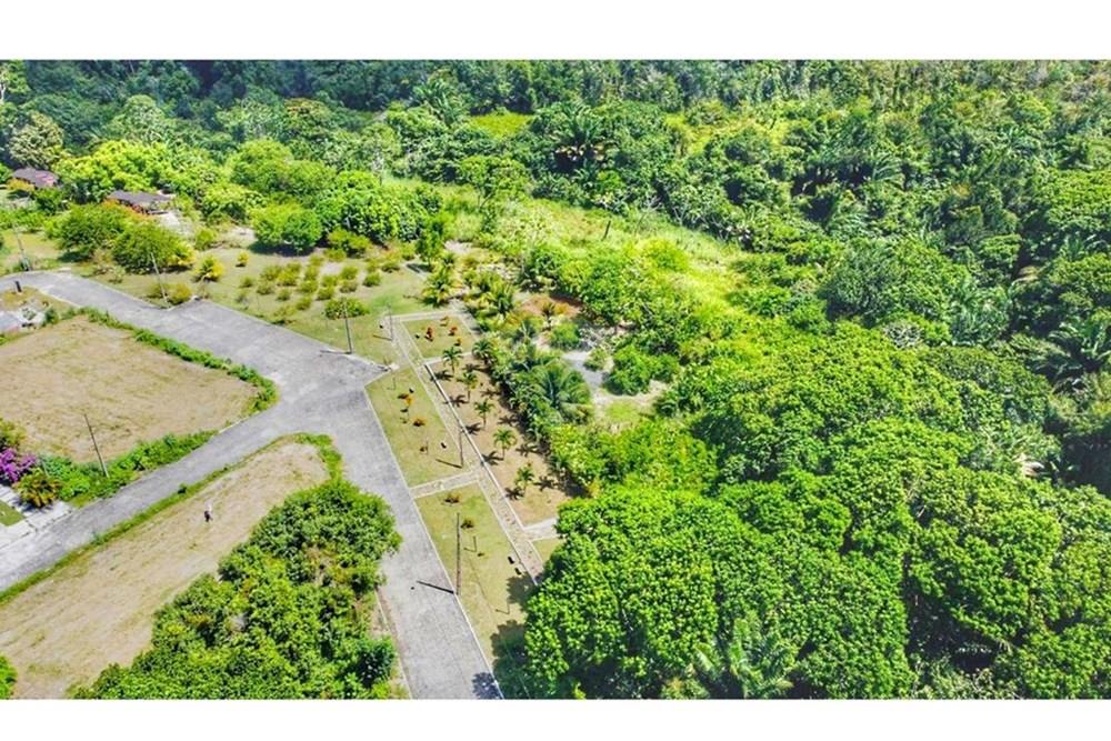 Terreno - Venda - Conde , Paraíba - WhatsApp Image 2024-07-24 at 15.39.59.jpeg - 720871004-166