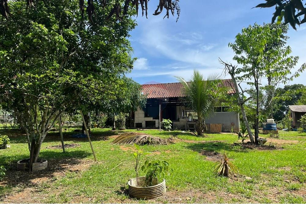 Chácara / Sítio / Fazenda - Venda - Porto Velho , Rondônia - WhatsApp Image 2025-11-05 at 15.47.35.jpeg - 721551067-4