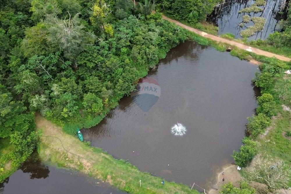 Chácara / Sítio / Fazenda - Venda - Novo Airão , Amazonas - Tanques de Peixes5.jpg - 720721055-29