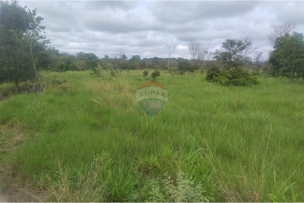 Chácara / Sítio / Fazenda - Venda - Confresa , Mato Grosso - IMG-20250926-WA0053.jpg - 720641046-11