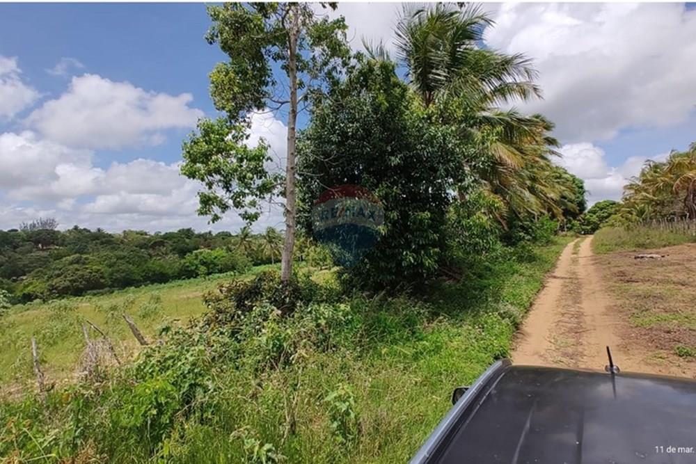 Terreno - Venda - Conde , Paraíba - WhatsApp Image 2025-03-12 at 09.15.14.jpeg - 720871050-6