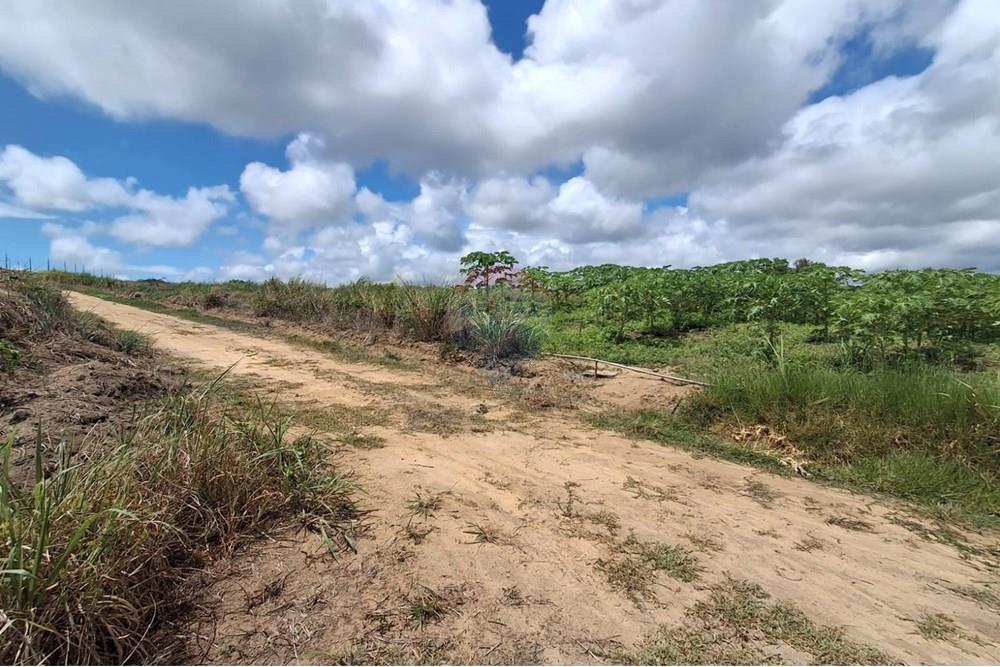 Terreno - Venda - Pitimbu , Paraíba - e6ad802e-dbf5-47c0-aca3-9862525b6686.jpeg - 720871044-34