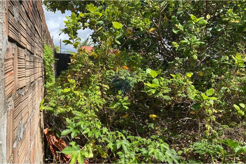 Terreno - Venda - Cabedelo , Paraíba - WhatsApp Image 2025-08-28 at 16.29.17.jpeg - 720431073-17