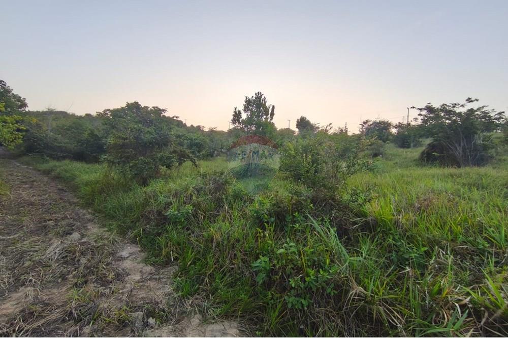 Terreno - Venda - Pitimbu , Paraíba - 4cf41f8c-a805-46f5-828d-9b576444e24c.jpg - 720871056-19