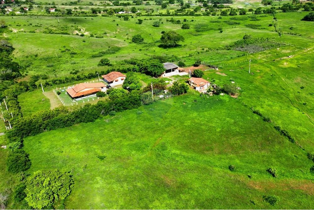 Chácara / Sítio / Fazenda - Venda - Riachão do Bacamarte , Paraíba - dji_fly_20250215_145632_458_1739642352828_photo_optimized.jpg - 722011055-39