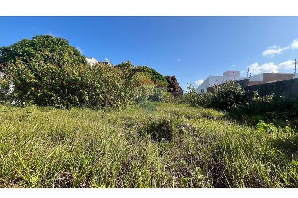 Terreno - Venda - Conde , Paraíba - WhatsApp Image 2025-10-16 at 14.18.35 (1).jpeg - 720871004-214