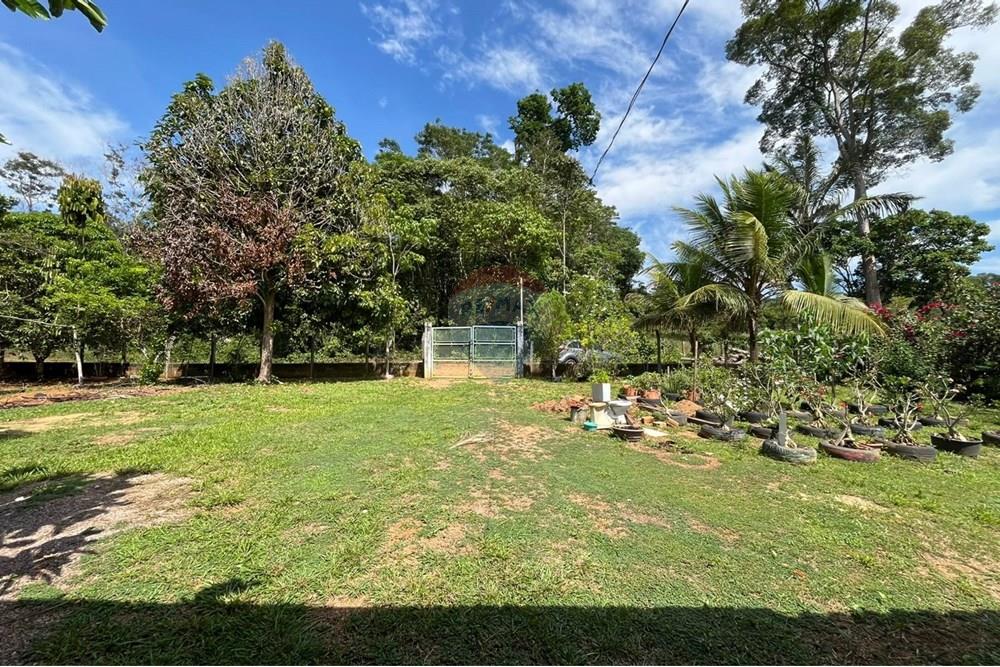 Chácara / Sítio / Fazenda - Venda - Porto Velho , Rondônia - WhatsApp Image 2025-11-05 at 15.47.36 (1).jpeg - 721551067-4