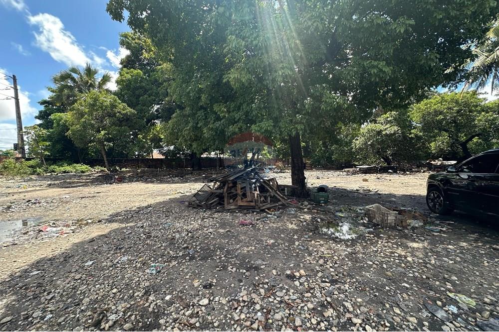 Terreno - Alugar - Fortaleza , Ceará - WhatsApp Image 2025-04-24 at 11.14.08.jpeg - 721621017-82