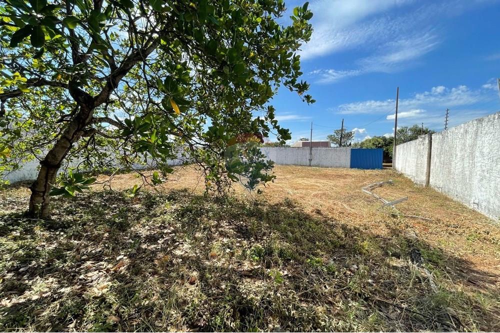 Terreno - Venda - Rondonópolis , Mato Grosso - WhatsApp Image 2025-03-25 at 14.52.10 (2).jpeg - 722261008-9