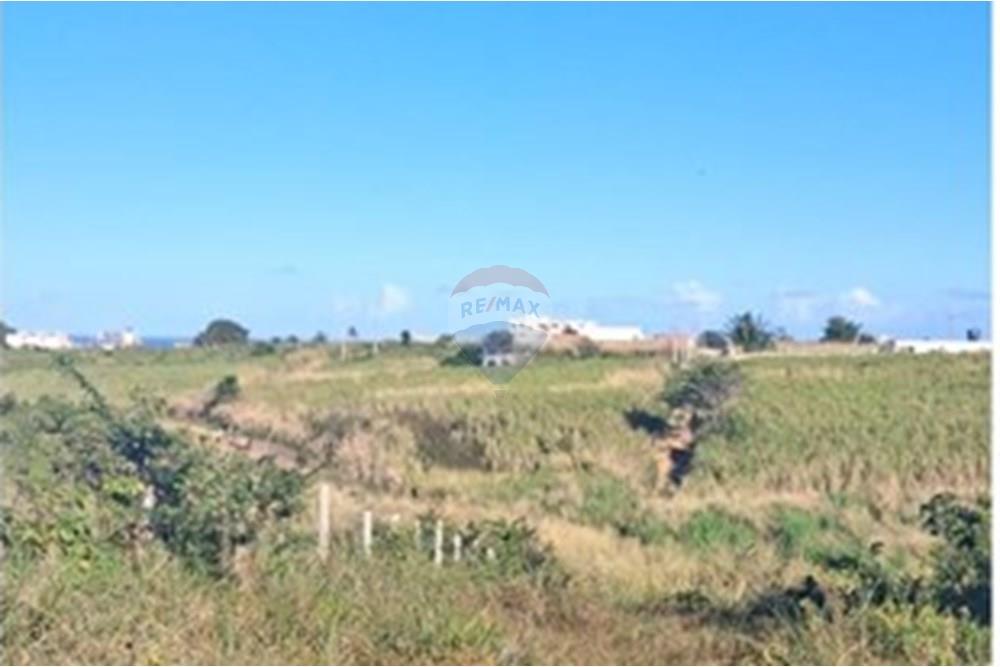 Terreno - Venda - Pitimbu , Paraíba - 23910278-e89e-41e9-a23b-7b8f15b83bc7.jpeg - 720871044-83