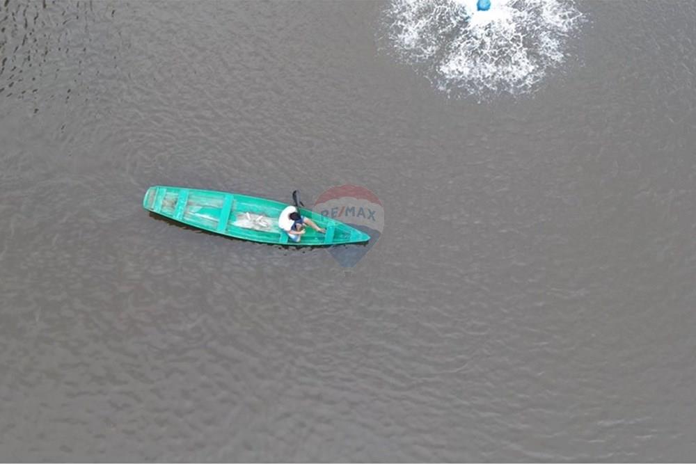 Chácara / Sítio / Fazenda - Venda - Novo Airão , Amazonas - Tanques de Peixes6.jpg - 720721055-29