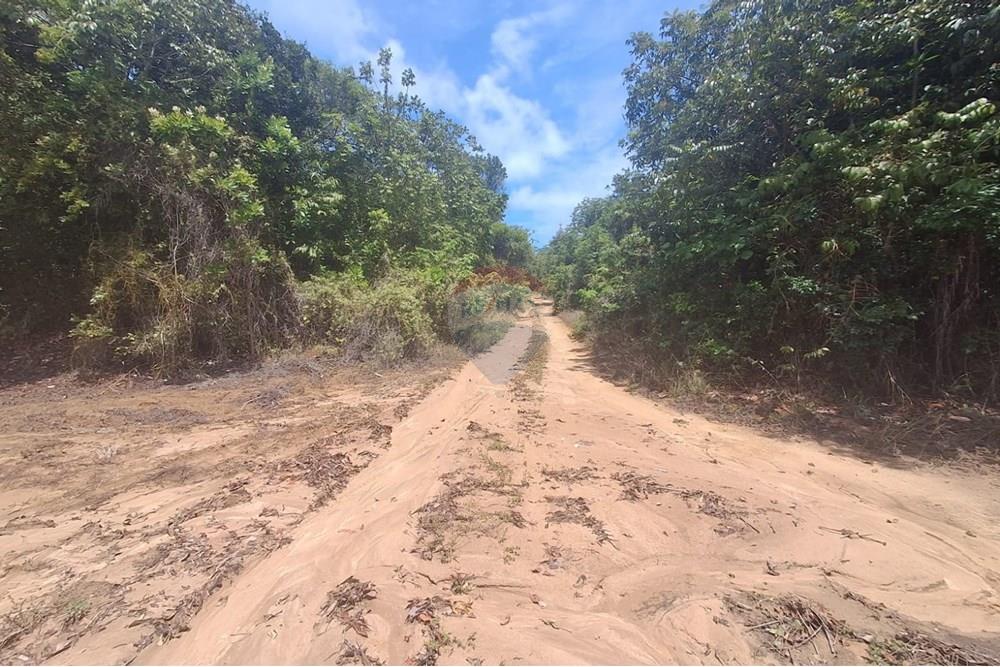 Terreno - Venda - Conde , Paraíba - c0466fc2-1d9d-4f8e-9fae-594afdb8198b.jpeg - 720871044-33