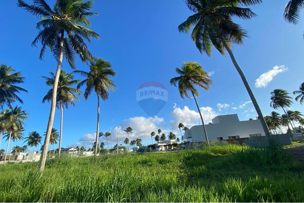 Terreno - Venda - Parnamirim , Rio Grande do Norte - 2531fcd0-6bce-4054-b6cf-d1cb4353a359.jpg - 720891155-325