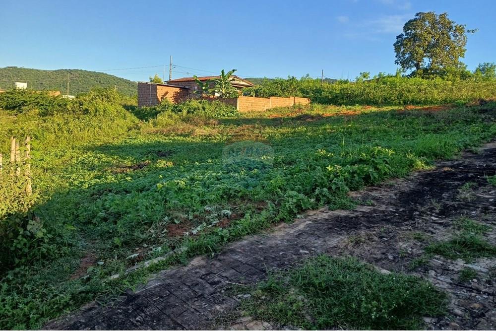 Terreno - Venda - Pirpirituba , Paraíba - WhatsApp Image 2025-06-19 at 11.47.54.jpeg - 720551007-20