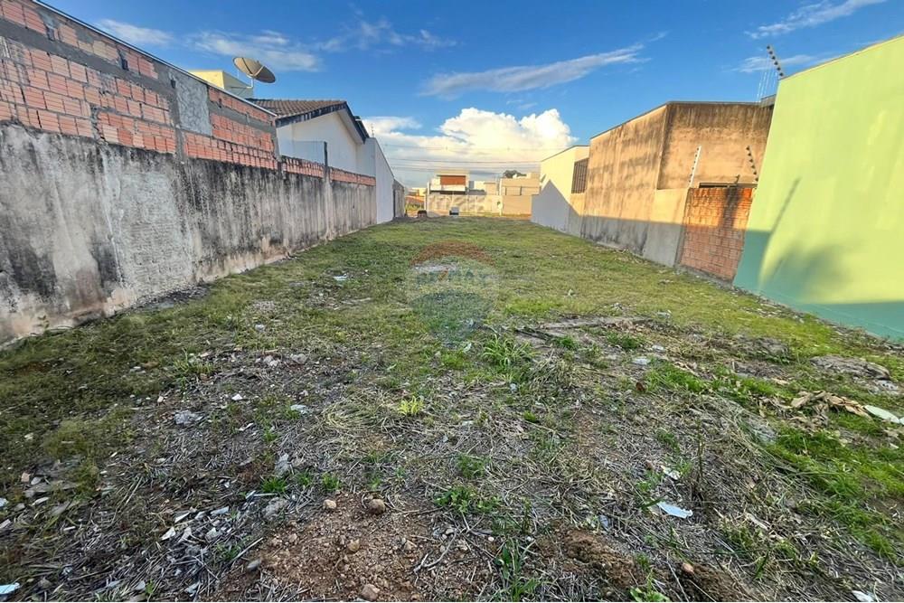 Residential - Nezazidljivo zemljišče - Sinop , Mato Grosso - BR - WhatsApp Image 2024-12-12 at 16.03.25 (1).jpeg - 721561039-23