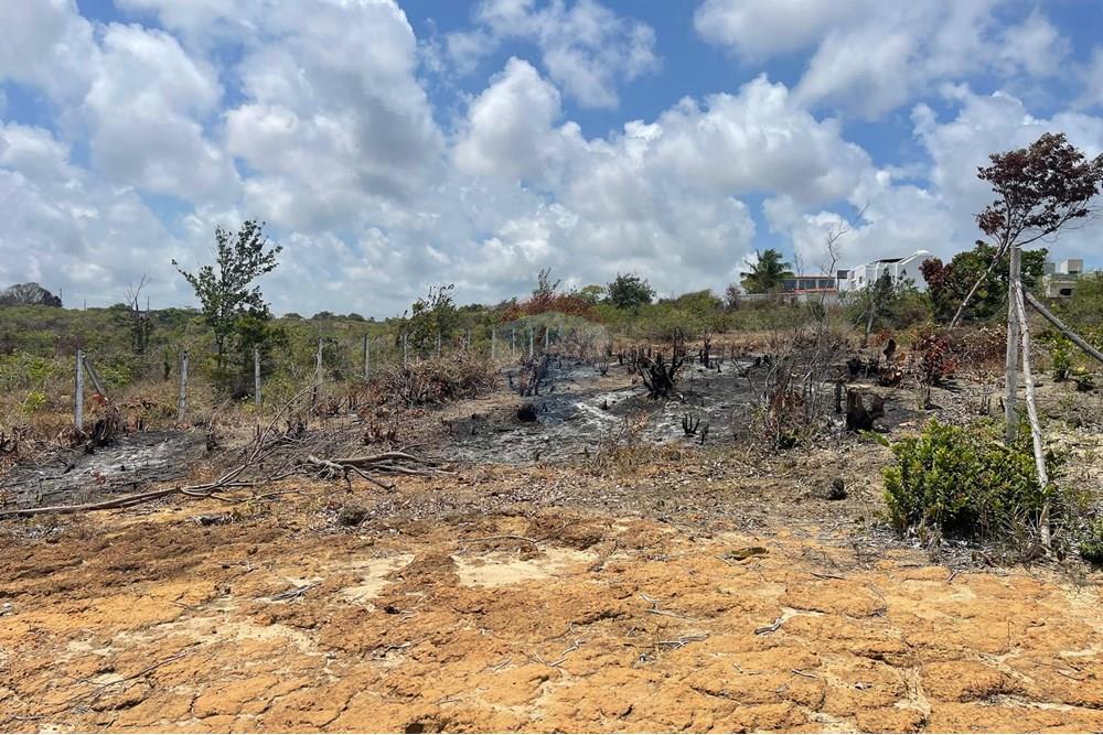 Terreno - Venda - Conde , Paraíba - WhatsApp Image 2025-01-02 at 15.58.03 (1).jpeg - 720871004-174