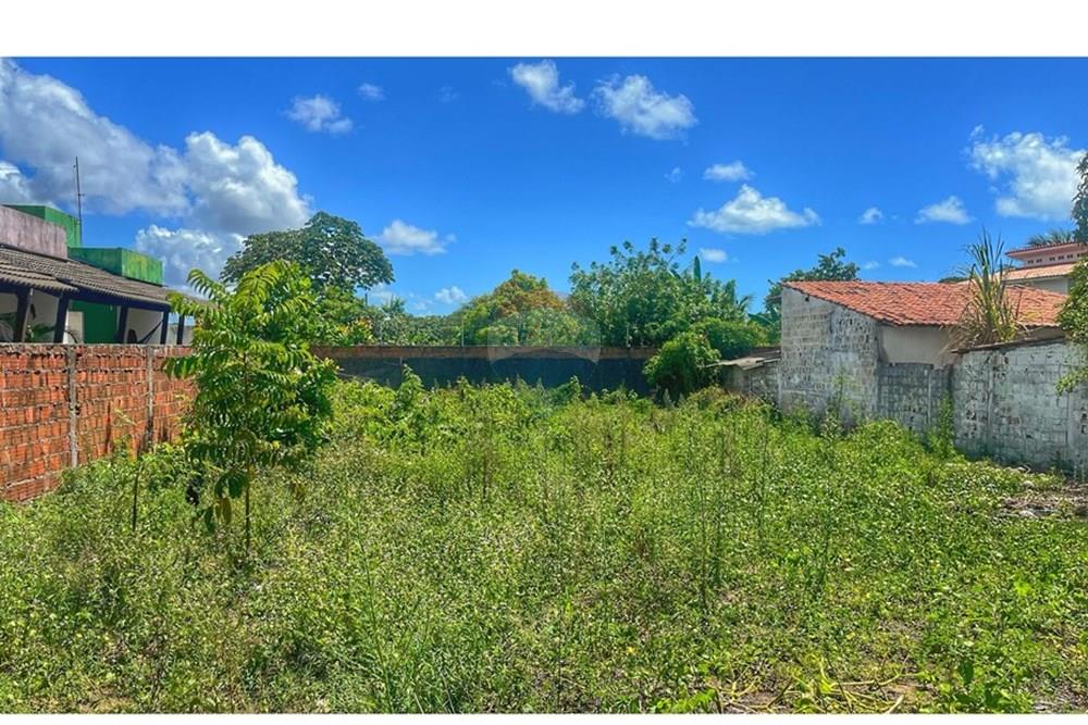 Terreno - Venda - Conde , Paraíba - WhatsApp Image 2025-04-23 at 09.53.51.jpeg - 720871004-192