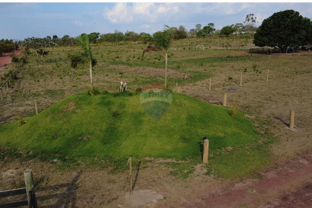 Chácara / Sítio / Fazenda - Venda - Rondonópolis , Mato Grosso - DJI_0390.JPG - 720561151-6