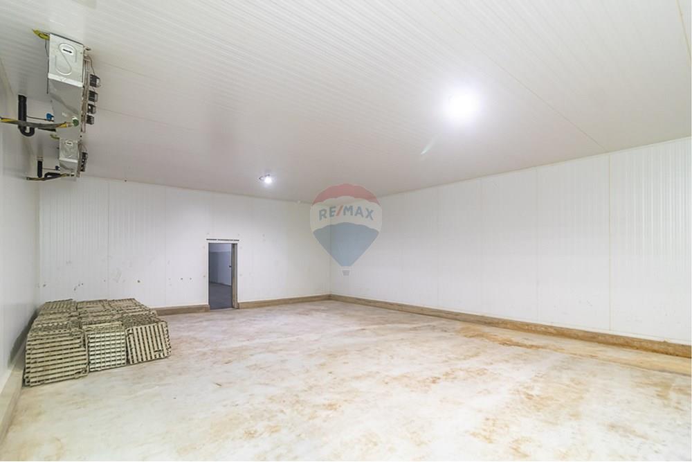 Galpão - Venda - Distrito de Icoaraci , Pará - IMG_5822.jpg - 720921067-61