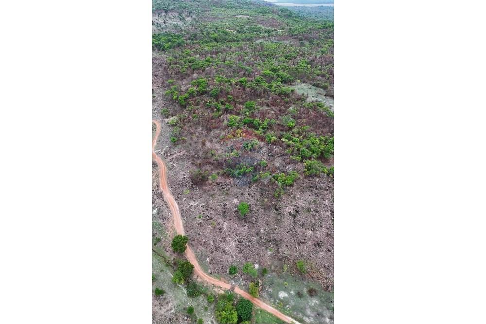 Chácara / Sítio / Fazenda - Venda - Confresa , Mato Grosso - WhatsApp Image 2024-11-29 at 08.53.29 (1).jpeg - 720641029-28