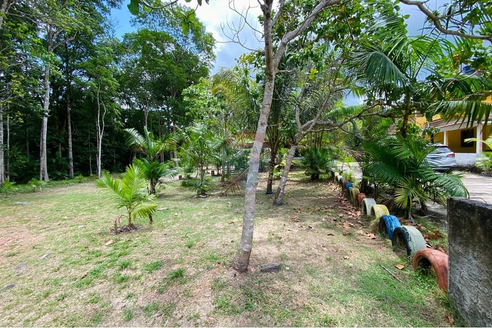 Chácara / Sítio / Fazenda - Venda - Barcarena , Pará - IMG-20250924-WA0488.jpg - 720921028-93
