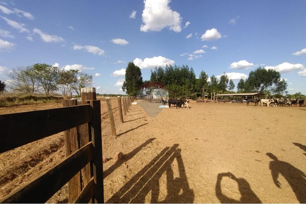 Chácara / Sítio / Fazenda - Venda - Sinop , Mato Grosso - WhatsApp Image 2025-08-07 at 14.46.26 (2).jpeg - 721561039-35