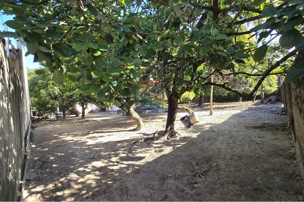 Terreno - Venda - Fortaleza , Ceará - PHOTO-2025-06-04-13-32-17.jpg - 722031081-37