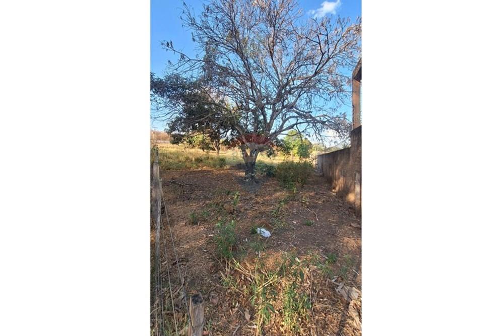 Terreno - Venda - Rondonópolis , Mato Grosso - IMG-20250830-WA0051.jpg - 721981068-6