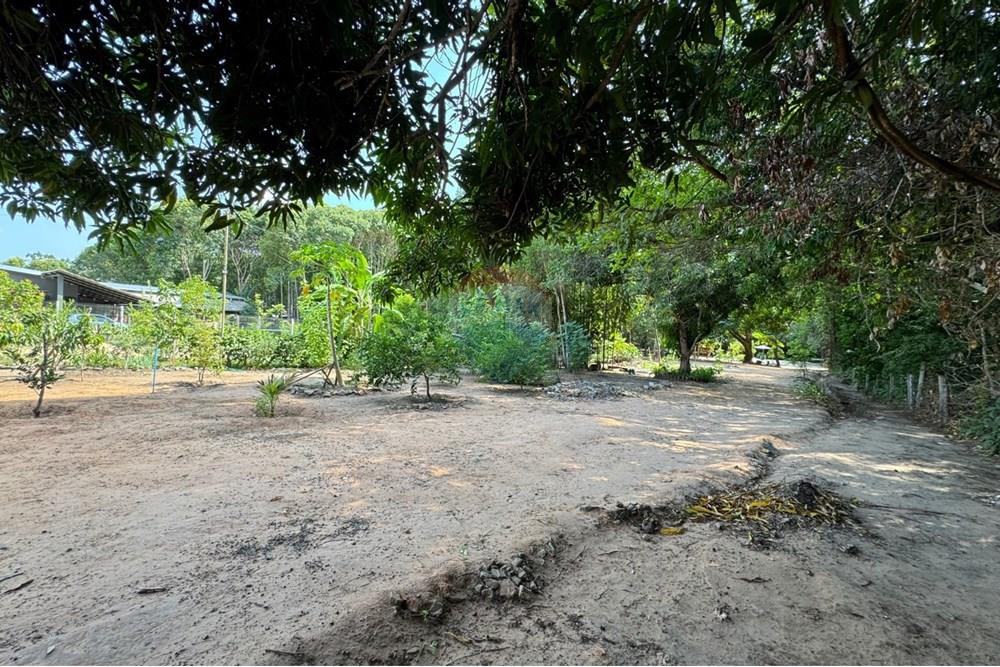 Casa de Campo - Venda - Araguaína , Tocantins - WhatsApp Image 2025-10-07 at 13.02.24 (3).jpeg - 720991019-20